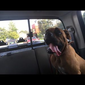 Meet your Posher, Janes